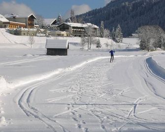 Haralds Ferienwohnungen - Bad Kleinkirchheim