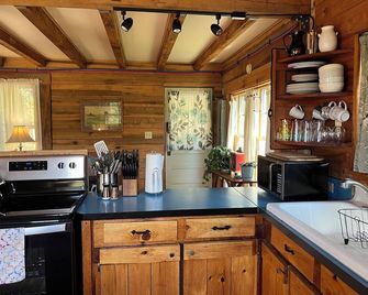 Broadwing Farm Cabins -Pine Cabin- Hot Tub with Mineral Water - Hot Springs - Kitchen