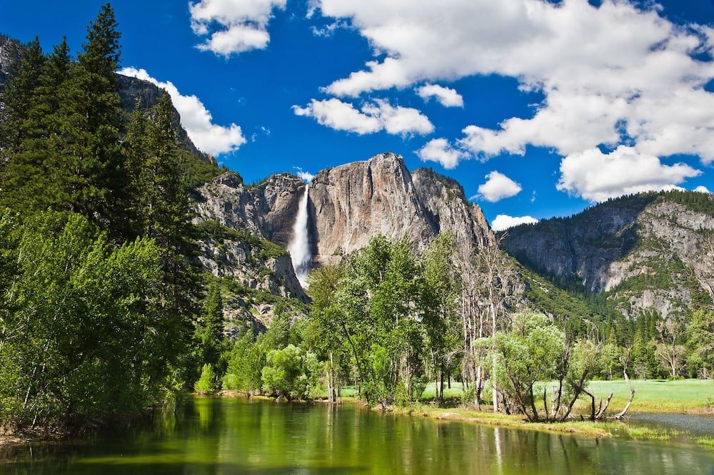 Tenaya at Yosemite - פיש קמפ