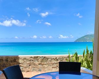 Casa Caribe Sea Level Oceanfront Villa, Air Conditioning, Beautiful Views! - Freshwater Pond - Balcony