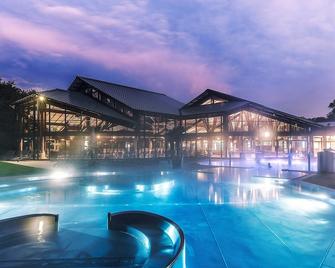 دورينت تيرمنهوتل فرايبرج - فريبرغ إمبريسغاو - حوض السباحة