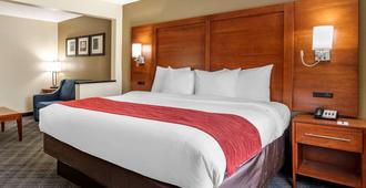 Comfort Inn Oklahoma City South - I-240 - Oklahoma City - Bedroom