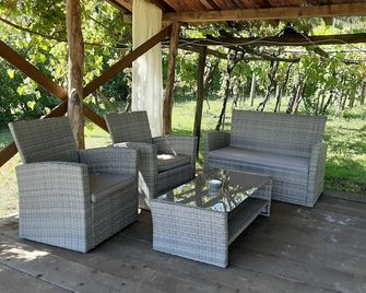 Country House / Farm House in Vicopelago with 4 bedrooms sleeps 10 - Lucca - Binnenhof