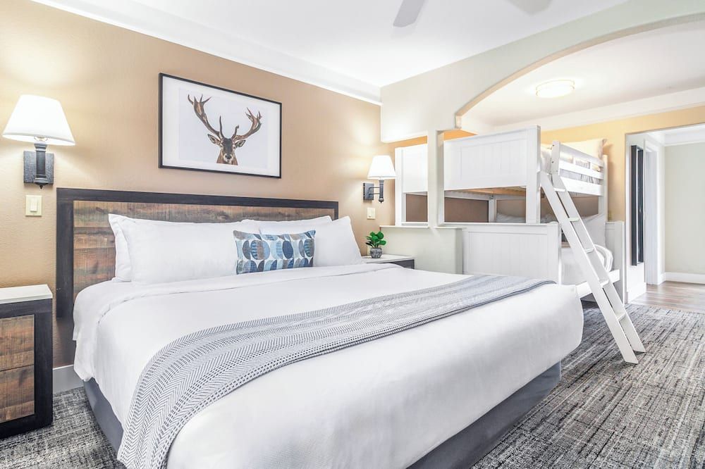 إن آت ماونت شاستا