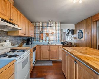 Vintage Aspen Miner`s Cabin - Aspen - Kitchen