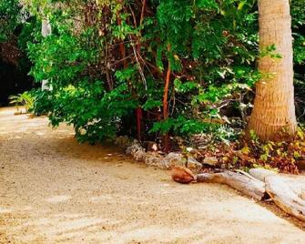 Casa Luna de Frances - Oranjestad - Outdoors view