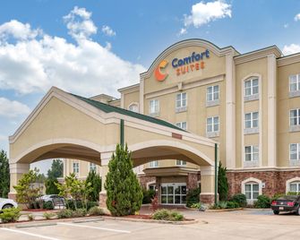 Comfort Suites Vicksburg - Vicksburg - Edificio