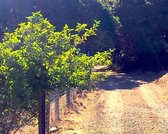 Gorgeous modern home with ocean and mountain views in the heart of Big Sur - Big Sur