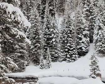 Maroon Bells Riverside Cabin at T-Lazy-7 Ranch | River's Edge - Aspen - Outdoors view