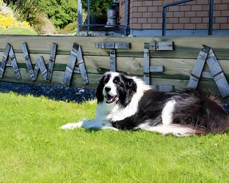 Awatea Country Bed & Breakfast - Kaikoura - Lobby