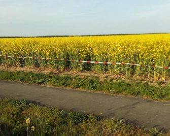 Natur-Freude-19p - Havelland - Vista del exterior