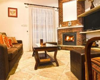 Archontiko I Misirlou - Kalopanayiotis - Sala de estar