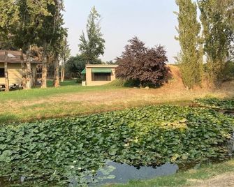 Hidden Cottage At Lilypond - Reedley - Outdoor view