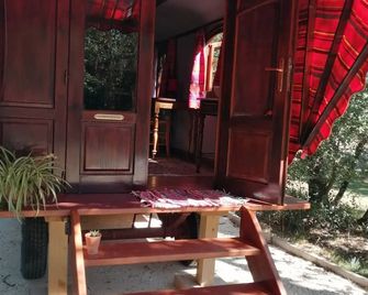 La Roulotte Authentique - Grignan - Patio