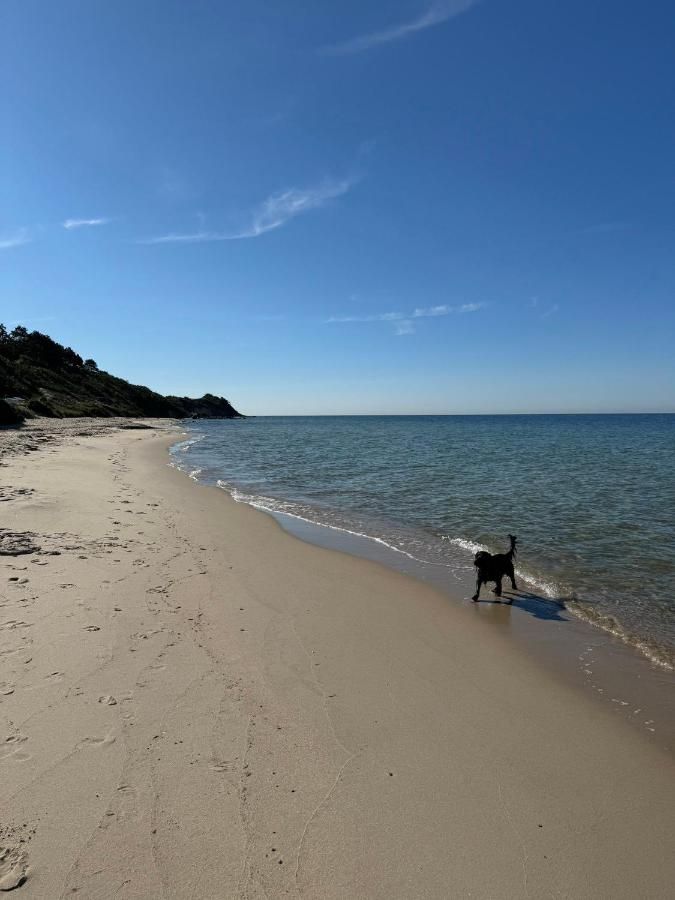 Forest Retreat Near Beach And Rønne – Rønne