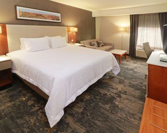 Hampton Inn by Hilton Chihuahua City - צ'יוואווה - חדר שינה