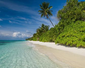White Sand Dhigurah - Dhigurah - Playa