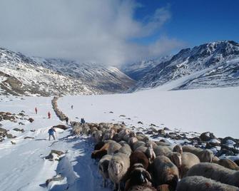 Berghotel Tyrol - Senales