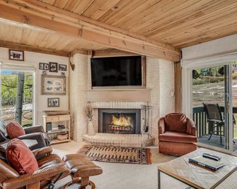 Interlude Condominiums 2-Bedroom Unit 209 - Snowmass Village - Sala de estar