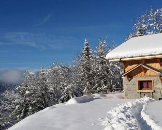 Morzine Panoramic - Morzine