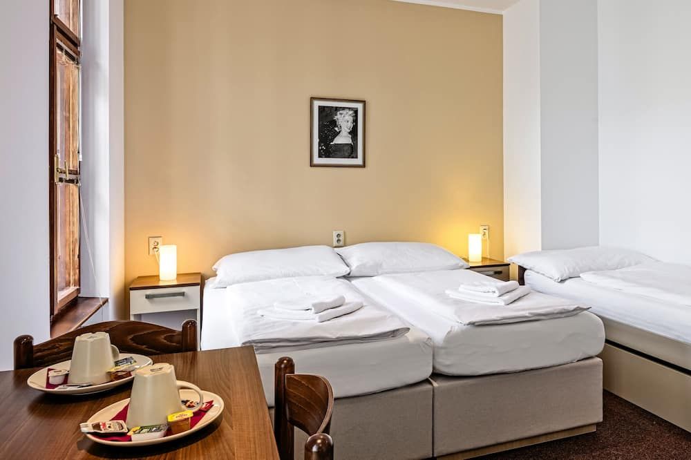 Penzion Dvorakova - ברנו - חדר שינה