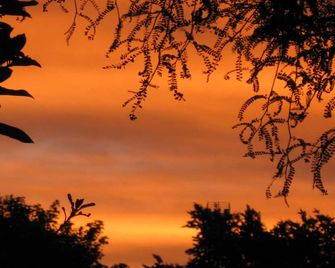 Martinborough Motel - Martinborough - Outdoor view