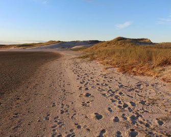 Stylish new boutique coastal retreat - Waipu - Golf