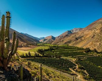Cabanas Yunkai - Vicuña