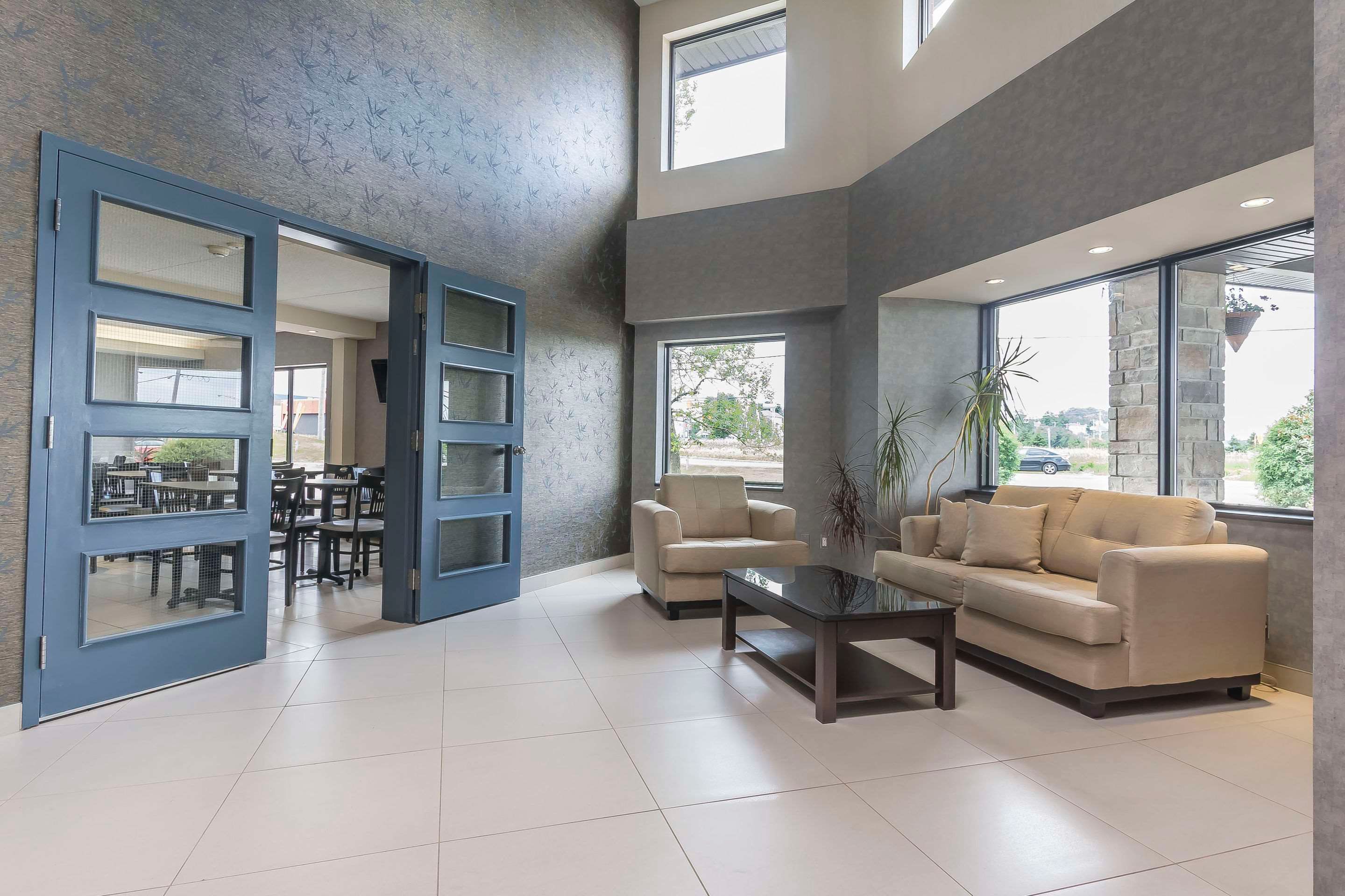 كومفرت إن ليفيس