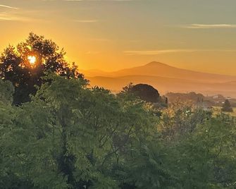 Les Yourtes de Provence - Saint-Paulet-de-Caisson - Außenansicht