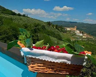 Podere Gianpaolo - Pescia - Extérieur