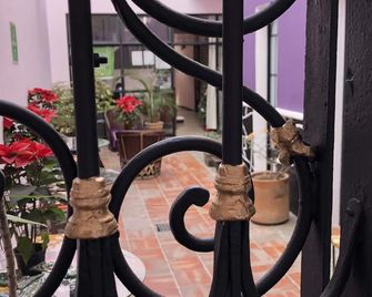 Olga Querida B&B Hostal - Guadalajara