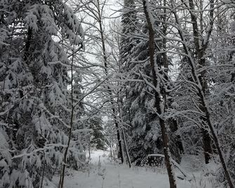 Perfect Tranquility--Where Nature And Wildlife Are Your Only Neighbors! - Fairview - Property amenity