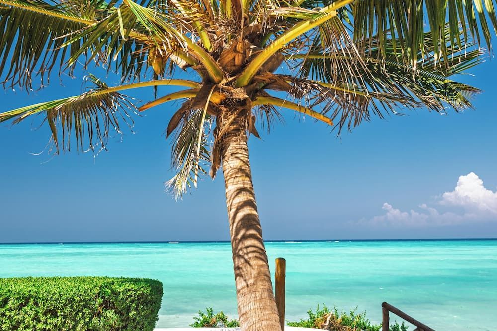 منتجع تانزانيت بيتش