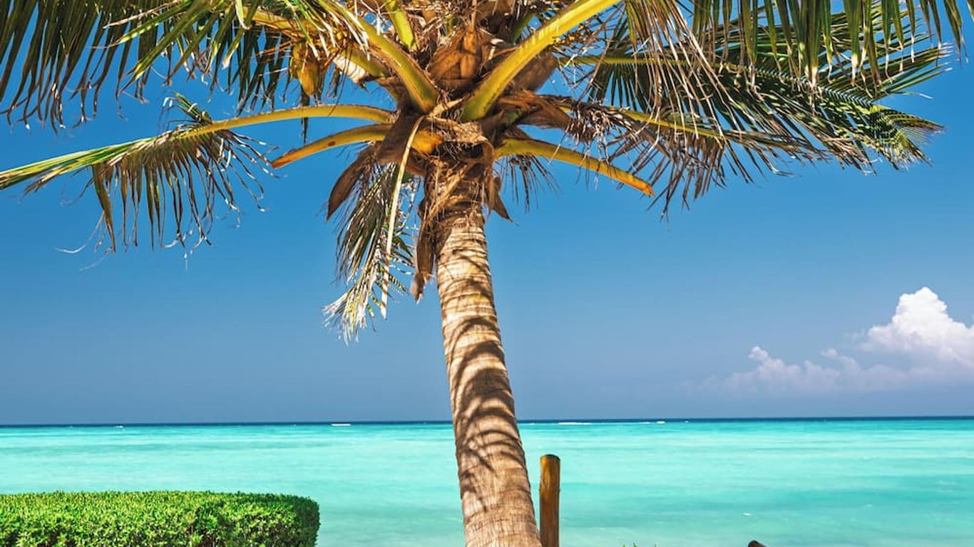 منتجع تانزانيت بيتش