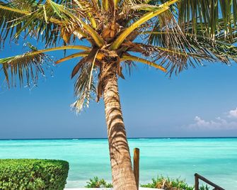 Tanzanite Beach Resort - Nungwi - Ranta