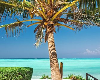 Tanzanite Beach Resort - 納恩戈薇 - 海灘