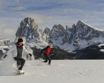 Saltria - your Alpine experience - Castelrotto