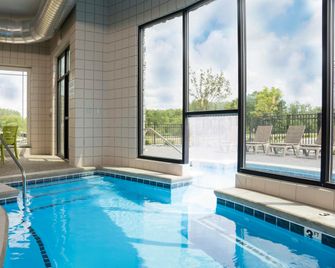 Hilton Garden Inn Grand Rapids East - גרנד ראפידס - בריכה