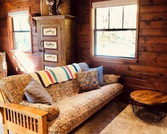 The Cranes cabin, clean, cozy & private cabin in Twain Harte, Perfect for 2! - Twain Harte - Living room