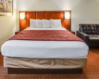 Rodeway Inn North Charleston - Ashley Phosphate - North Charleston - Soveværelse