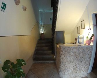 Camere Del Re - Tarquinia - Stairs