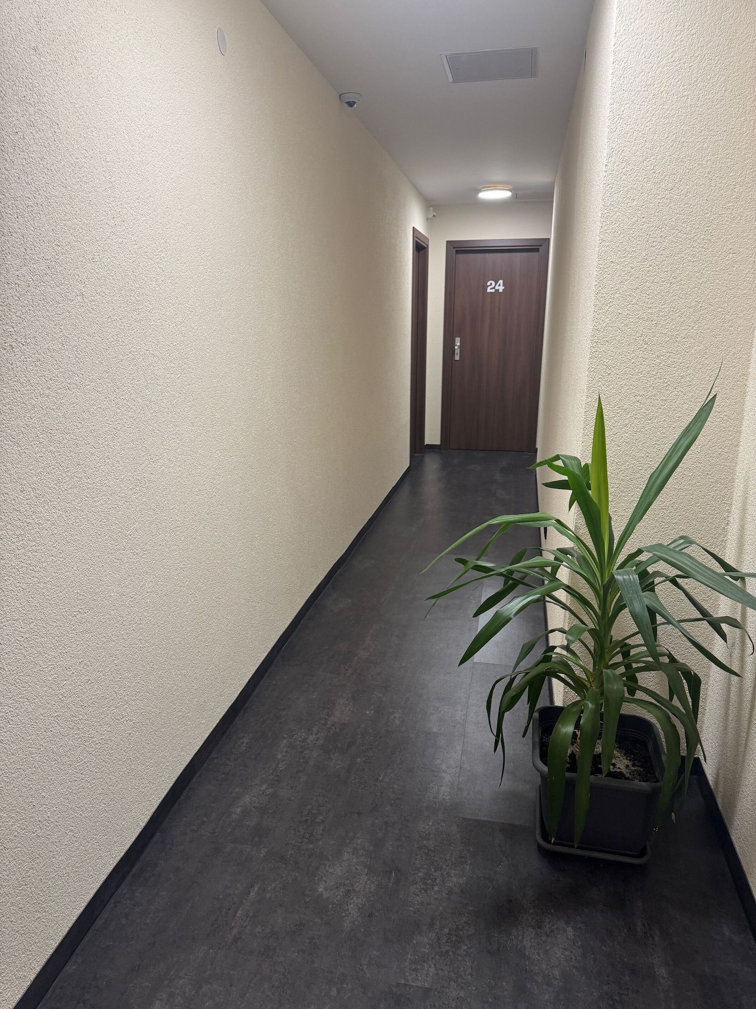 كابيتول زنتروم - 2 إي