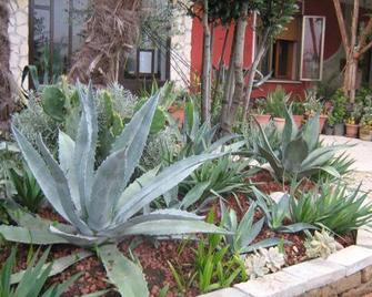 B&B Le Palme d'Oro - Grisignano di Zocco - Vista del exterior