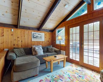 7 Merrimeeting Chalet - North Conway - Living room