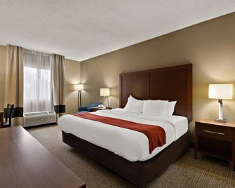 Comfort Inn Bordentown - Bordentown - Chambre