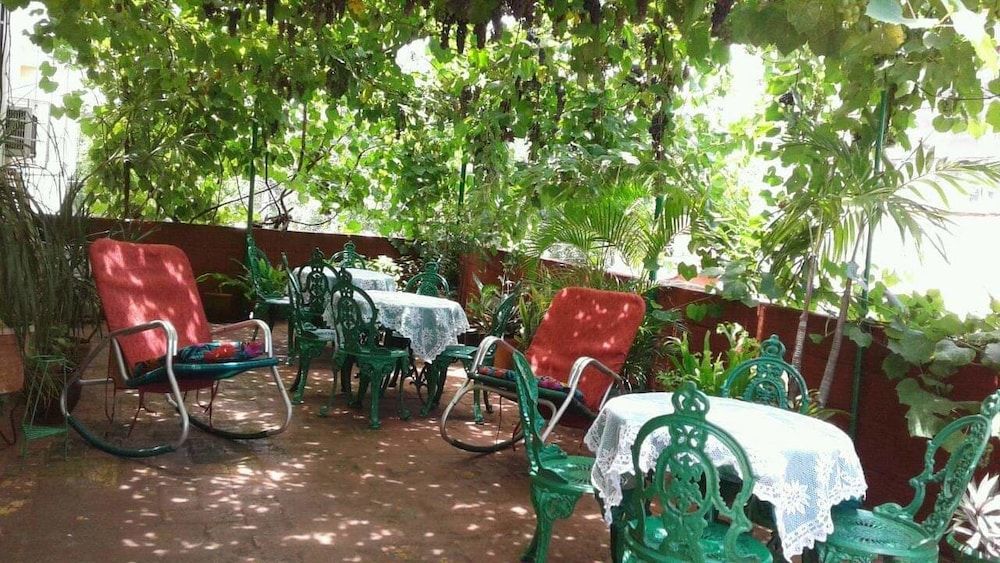 Casa Lidia Aurora - Havana - פטיו