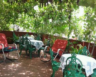 Casa Lidia Aurora - Havana - פטיו