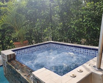 Villa Marfelia Spa - Girardot - Pool