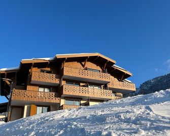 Appartement Type F1, Pistes Accessibles Skis aux Pieds - Praz-sur-Arly - Building